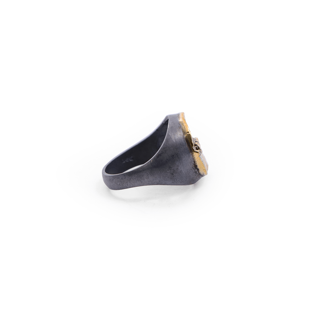Anillo Suturas Craneo