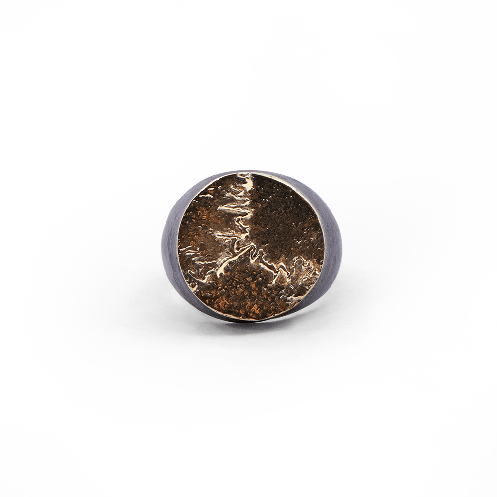 Anillo Suturas Craneo