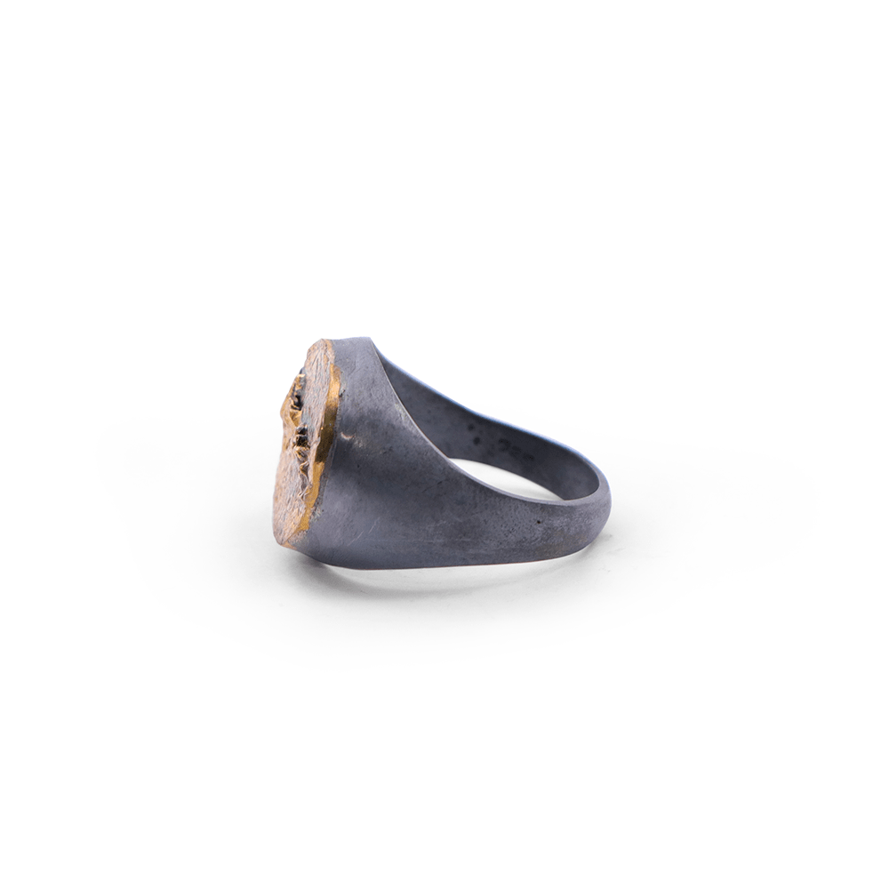 Anillo Suturas Craneo
