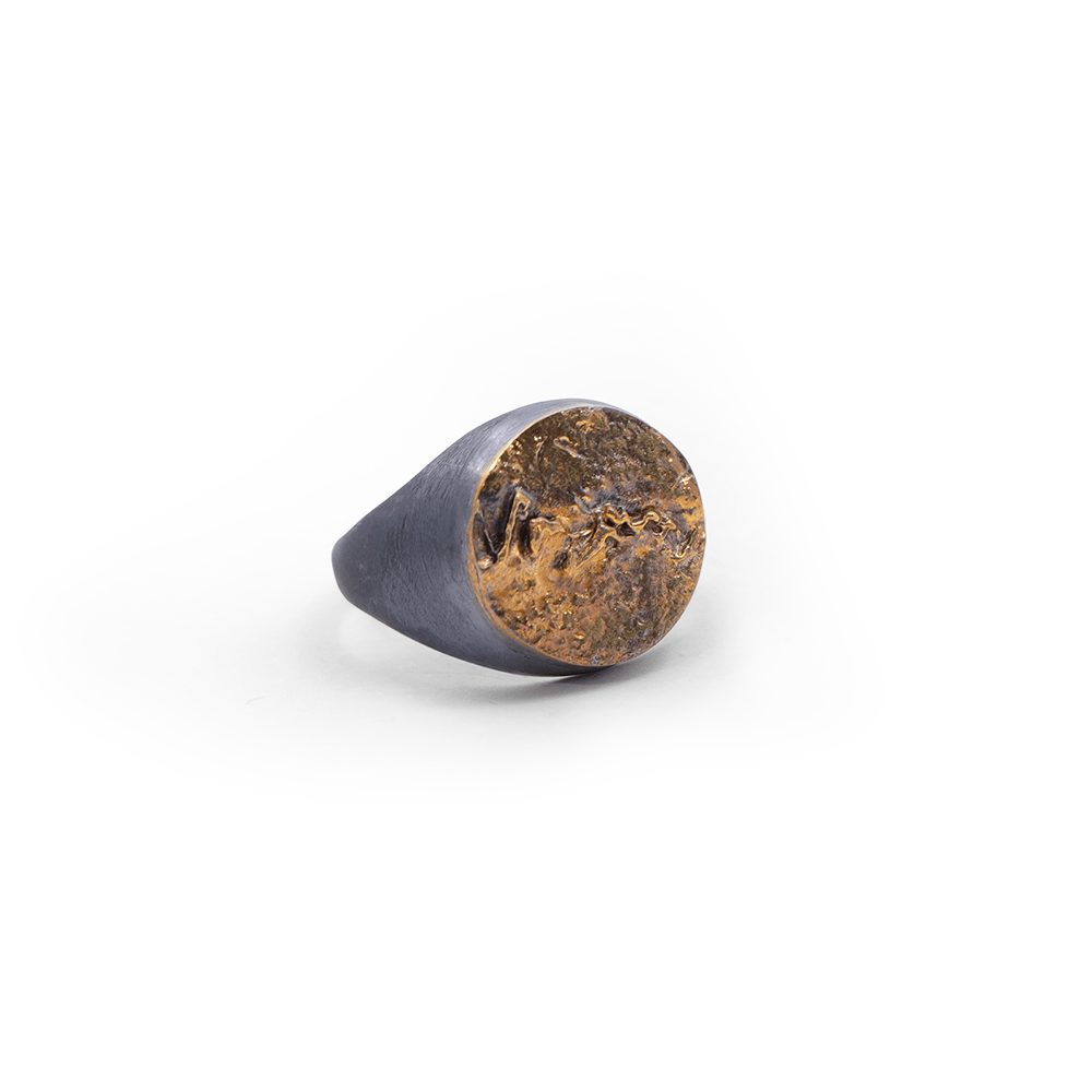 Anillo Suturas Craneo