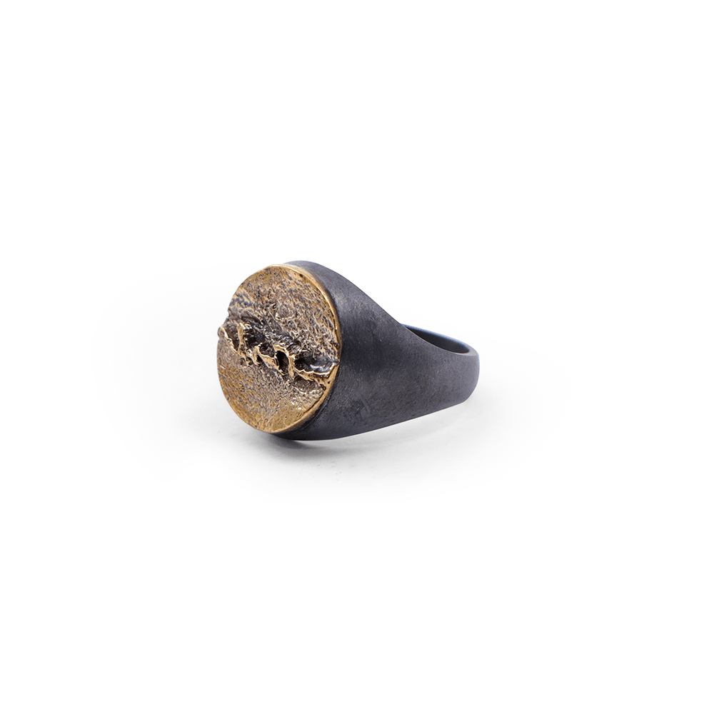 Anillo Suturas Craneo