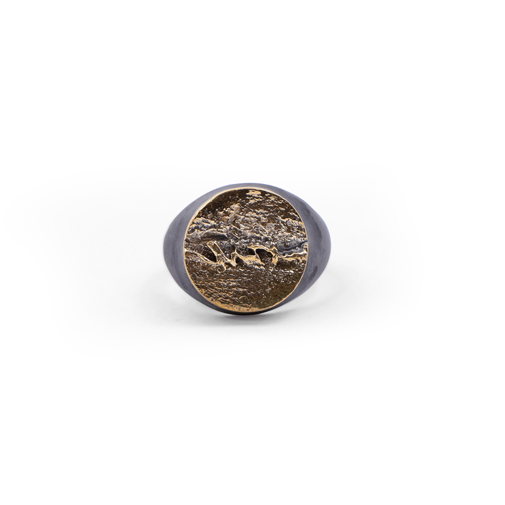 Anillo Suturas Craneo