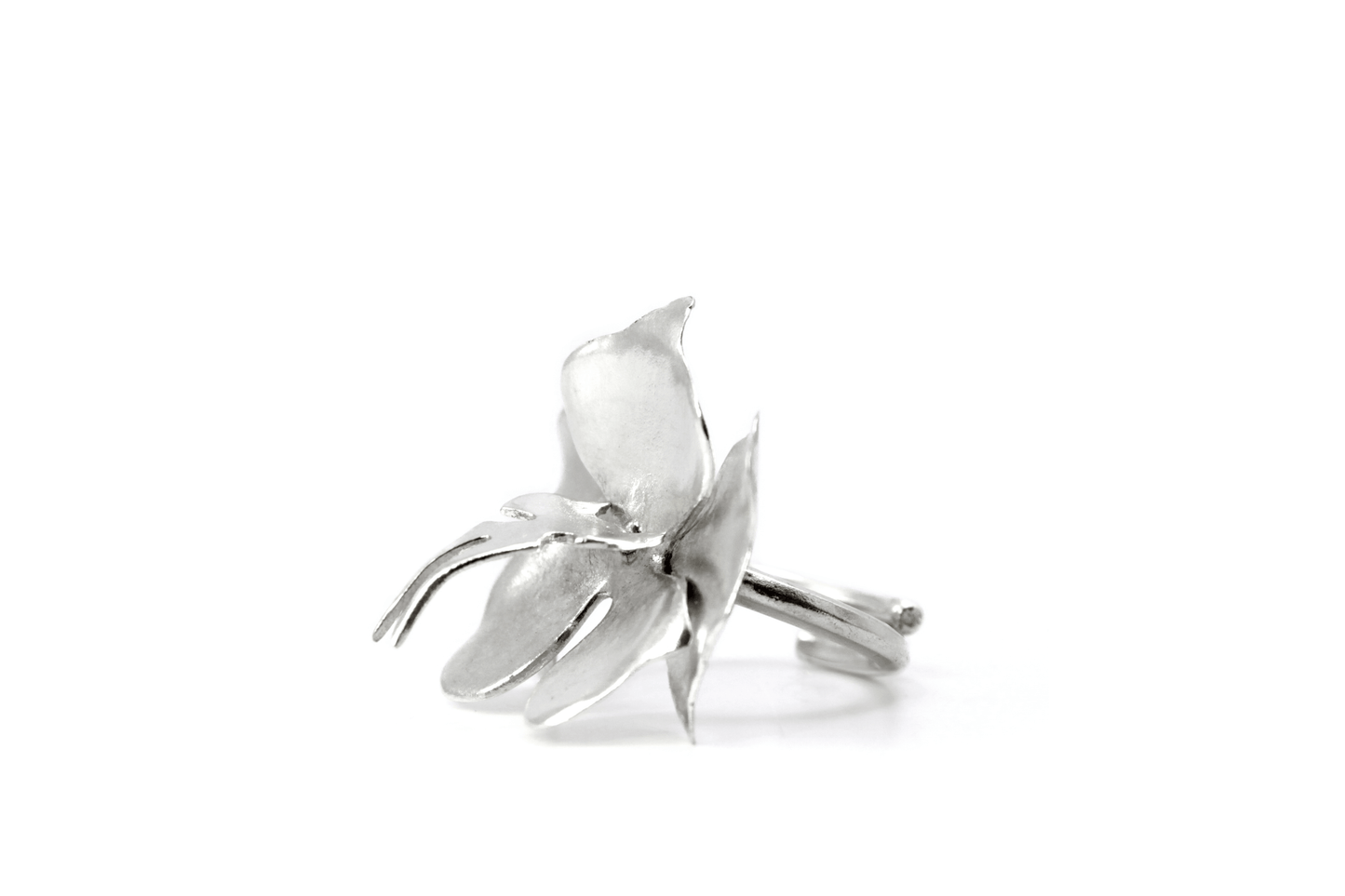 Anillo Orquidea Plata
