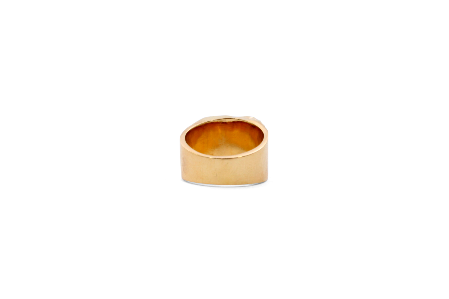 Anillo Tierra Agua Chico Dorado