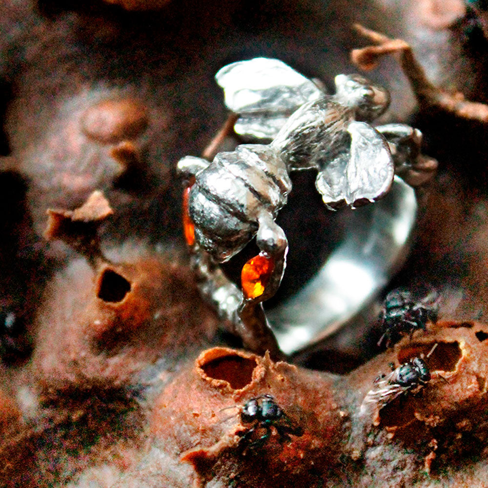 Melipona Reina Anillo