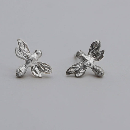 Melipona Angelita broqueles