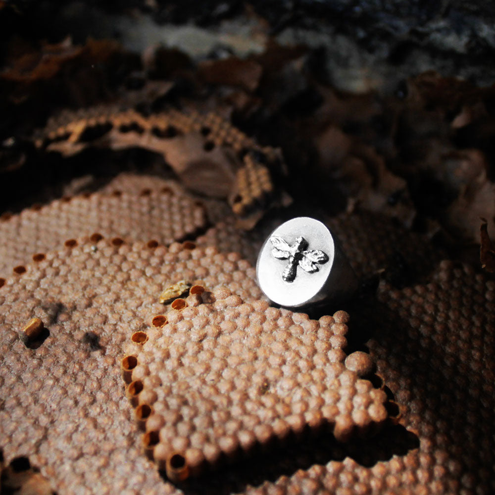 Melipona anillo signet