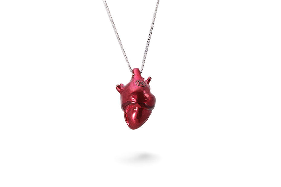 Corazón Anatómico