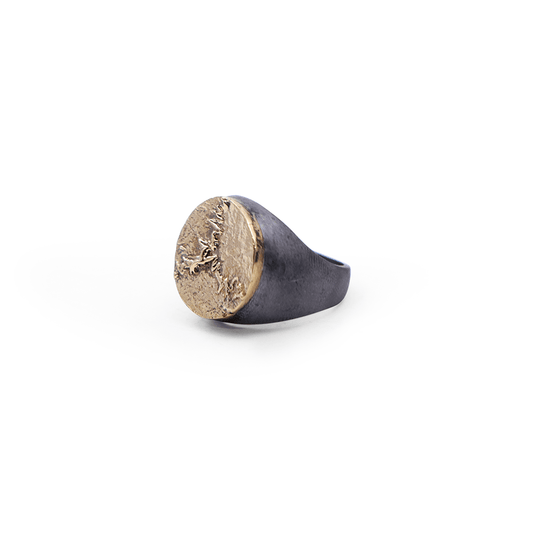 Anillo Suturas Craneo