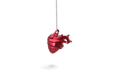 Corazón Anatómico